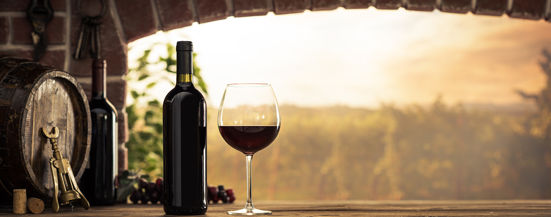 Home Wine Tasting Ireland