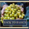 'Back to Basics' Wine Appreciation Course Gift - Image 2