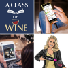 'Back to Basics' Wine Appreciation Course Gift - Image 3