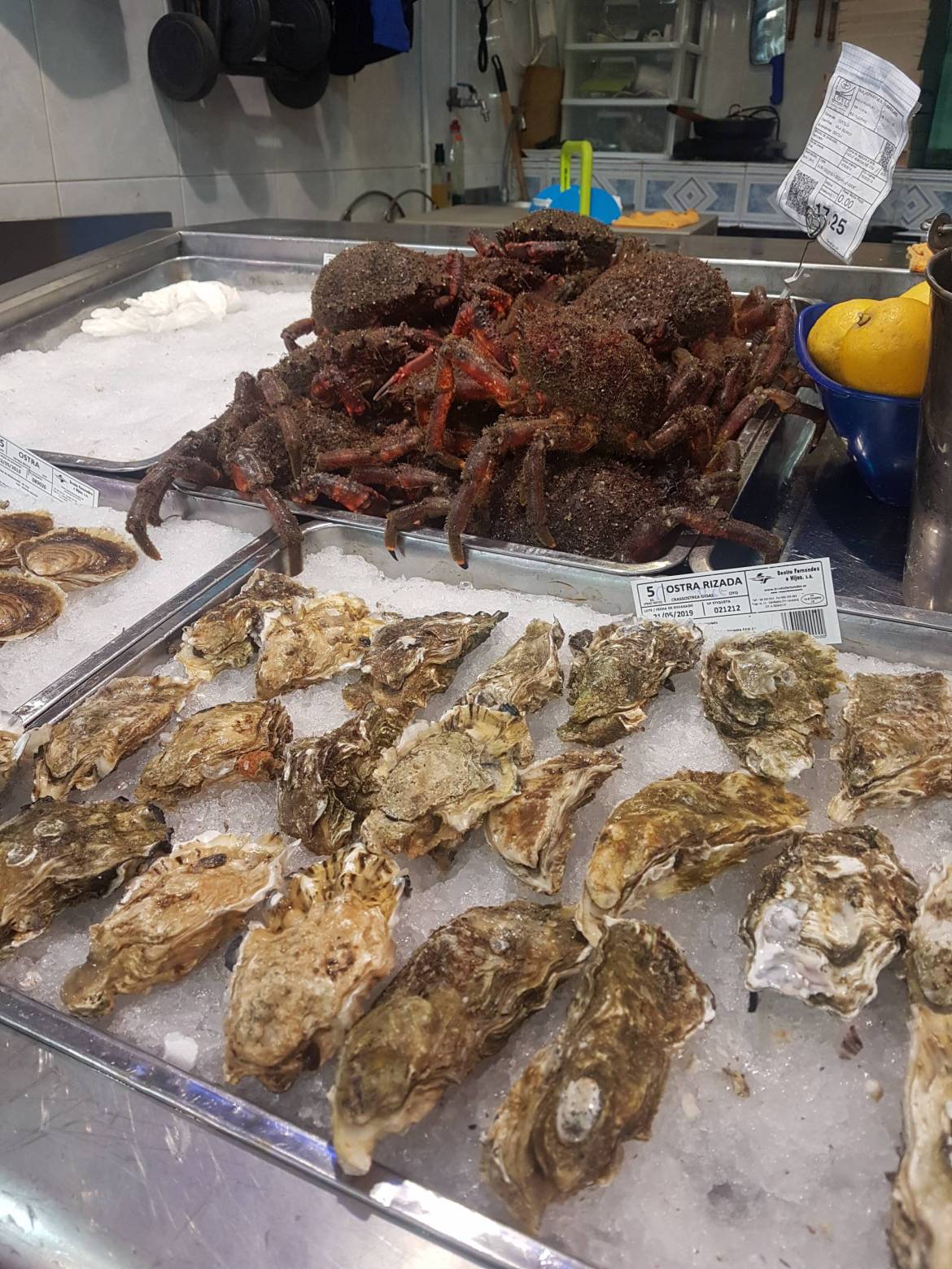 20190524_110142-1-scaled.jpg