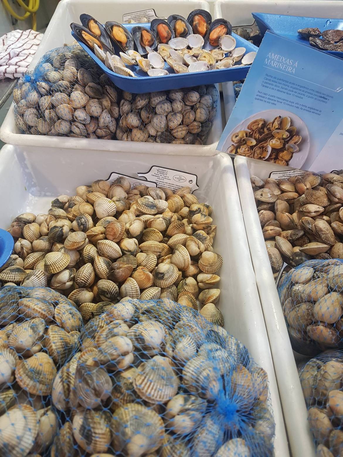 20190524_110248-scaled.jpg