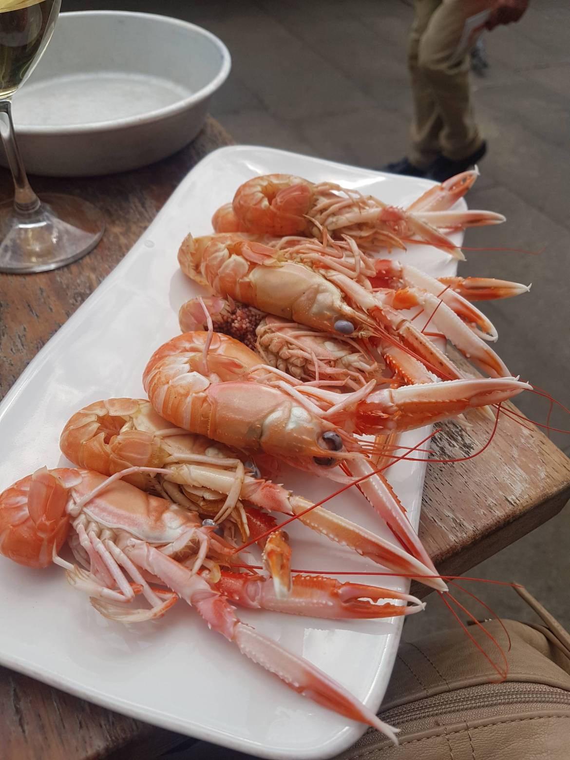 20190524_130816-1-scaled.jpg